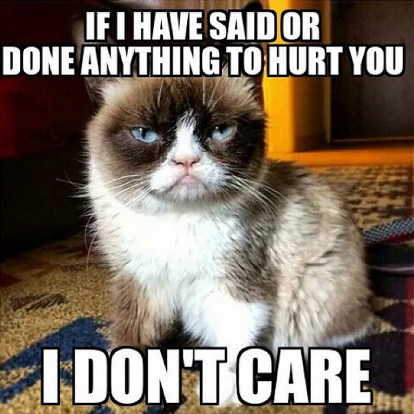 grumpy cat